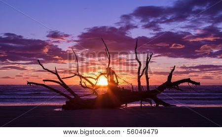 Washup Sunset