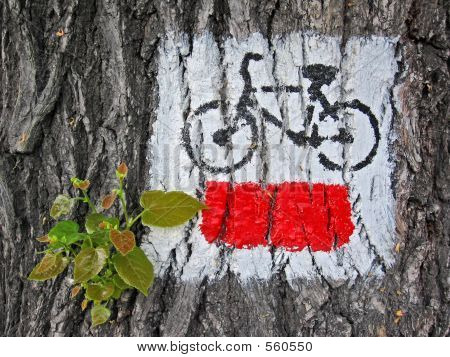 Paint On Tree