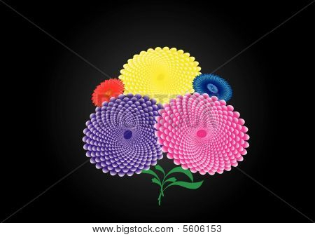 Blossom