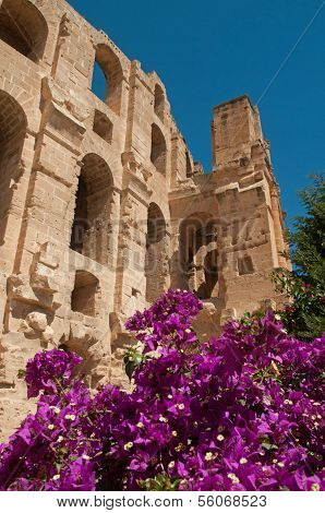 Ruins With Flowers