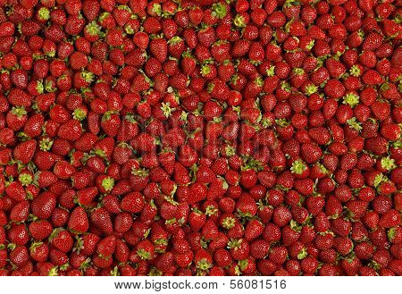 strawberries