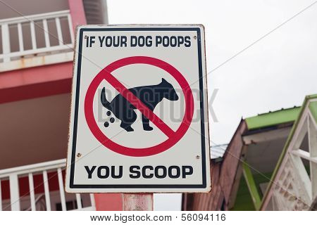 Dog Poop Sign