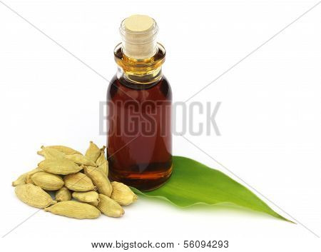Cardamons With Essential Oil