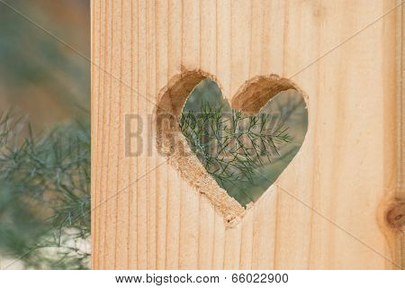 Heart Shaped Hole On Wooden Surface
