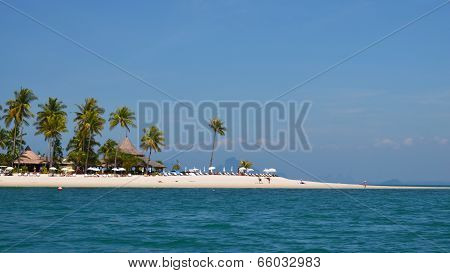 White Beach And Palms