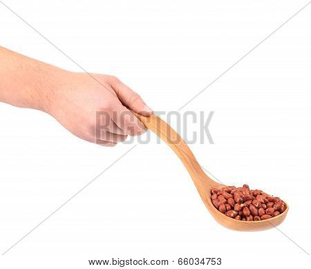 peeled peanuts in a wooden spoon