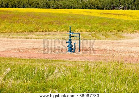 Natural Gas Wellhead Alberta Canada Grassland