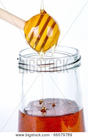 Honey Diping And Dipper Isolated