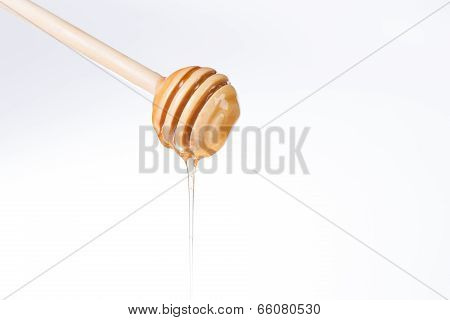 Honey Diping And Dipper Isolated