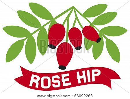 red rose hip symbol