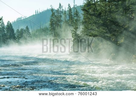 Fog on Yellowstone river