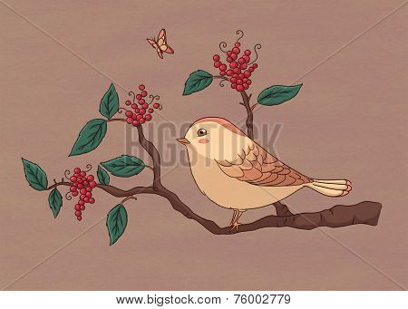sparrow