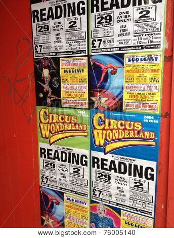 Circus Wonderland