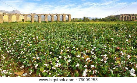 Aqueduct At Aspendos In Antalya, Turkey