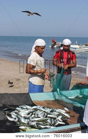 Daily Fish Market In Barka, Oman