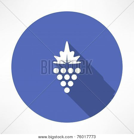 Grapes icon vector