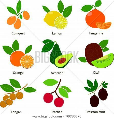 Fruits and berries