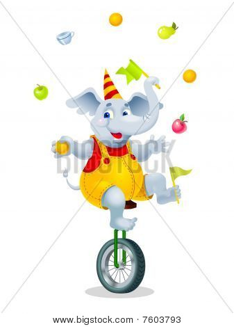 Elefante isolado