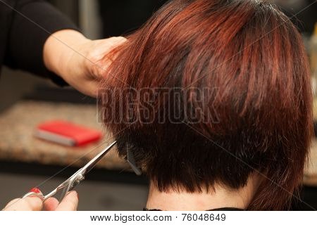 Styling Hair - Cut