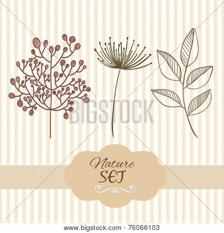 Botanical brunch nature set elements. Hand drawn illustration