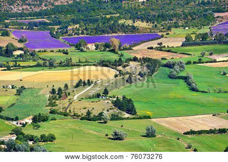Provence Rural Landscape