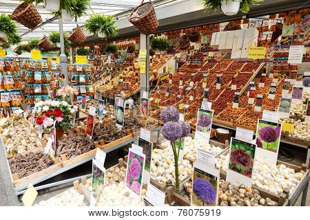 Amsterdam Flower Market.