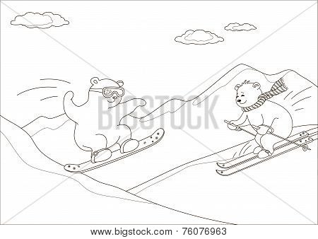 Teddy bears ski in mountains, contours