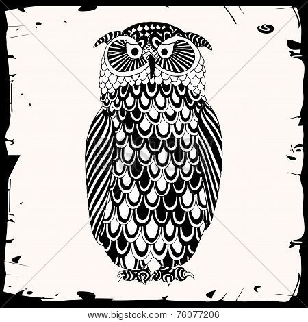 Owl illustration