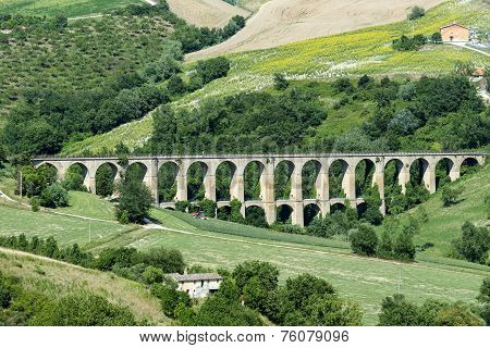 Summer Landscape In Marches (italy)