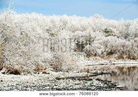 Winter Day On The River