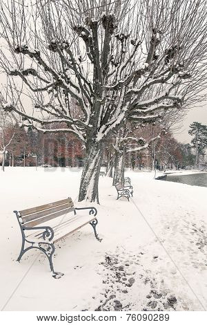 An image of a nice winter scenery in Tutzing Bavaria Germany