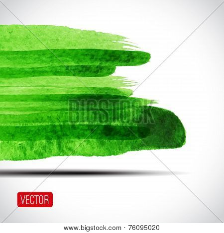 Vector  watercolor background. Summer design. Vector illustratio