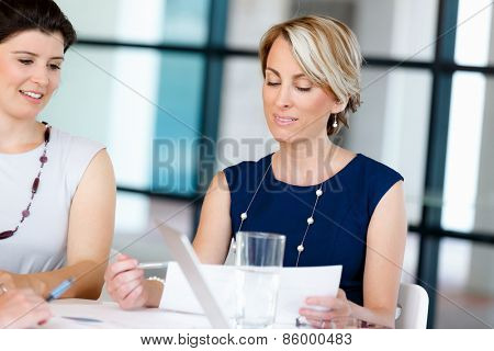 Businesswoman doing a presentaion in front of her collegues