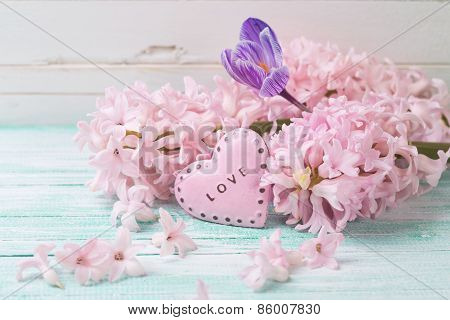 Postcard with fresh flowers hyacynths