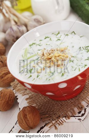 Tarator, Bulgarian Sour Milk Soup