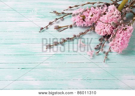 Postcard With Hyacynths And Willow Flowers