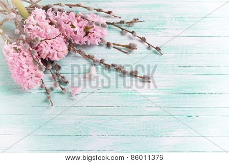 Postcard With Hyacynths And Willow Flowers