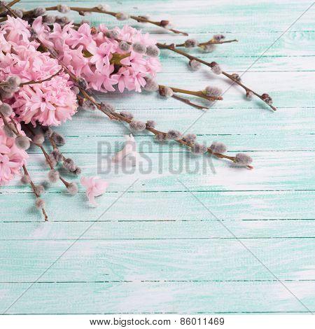 Postcard With Hyacynths And Willow Flowers