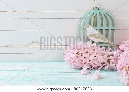 Postcard With Fresh Flowers Hyacynths