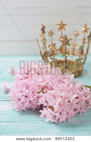 Postcard With Elegant Hyacinths  Flowers