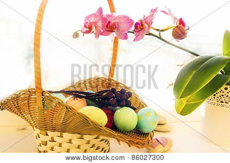 Easter eggs in a basket,  flowering Orchid