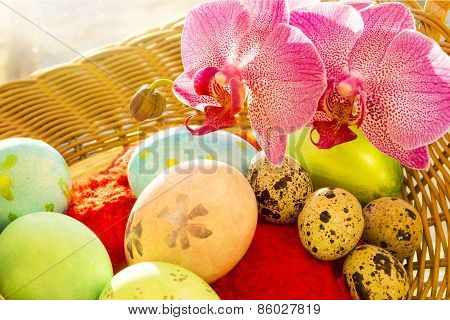 Easter and quail eggs in a basket, Orchid, morning