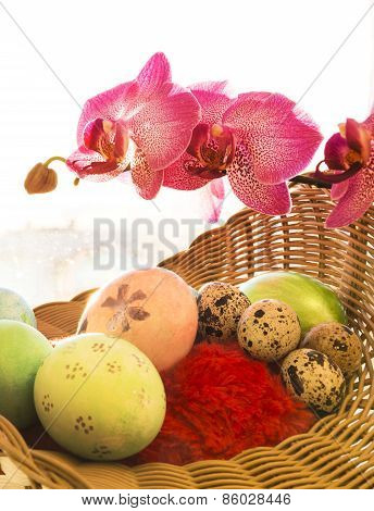 Easter and quail eggs in a basket with Orchid