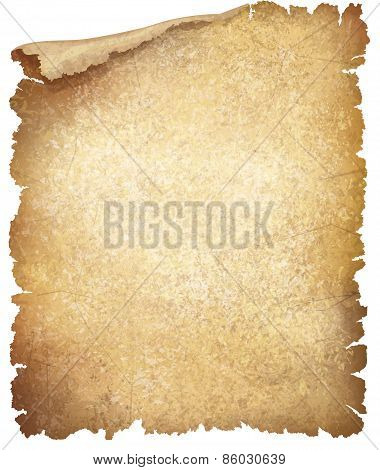 Vector old paper texture.