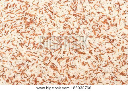 rice background