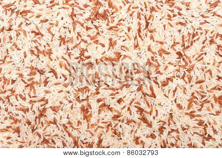 rice background