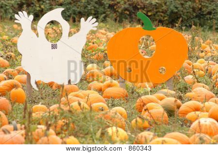 Pumpkin15
