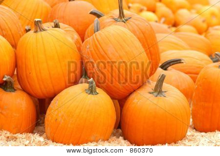 Pumpkin17