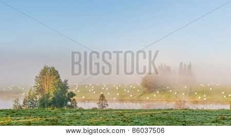 Misty river
