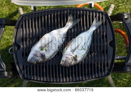 Fresh dorado fish grill cooking outdoors